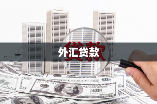丽江外汇贷款