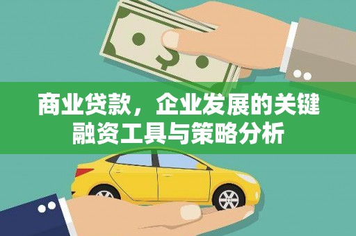 丽江商业贷款，企业发展的关键融资工具与策略分析