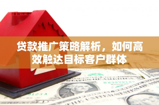 丽江贷款推广策略解析，如何高效触达目标客户群体