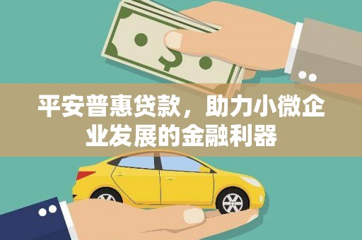 丽江平安普惠贷款，助力小微企业发展的金融利器