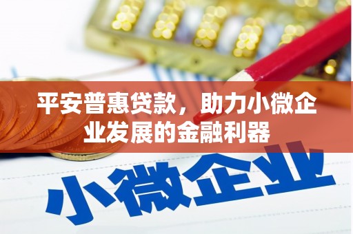 丽江平安普惠贷款，助力小微企业发展的金融利器
