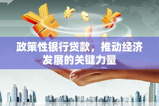 丽江政策性银行贷款，推动经济发展的关键力量