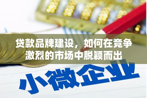 丽江贷款品牌建设，如何在竞争激烈的市场中脱颖而出