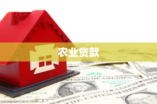 丽江农业贷款