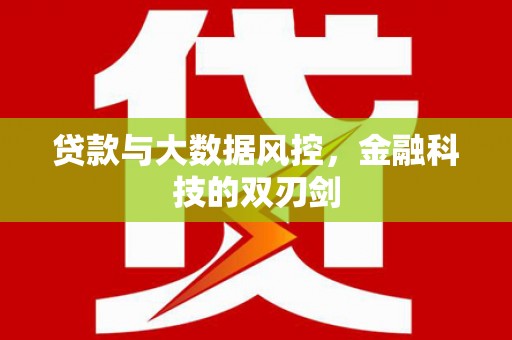 丽江贷款与大数据风控，金融科技的双刃剑