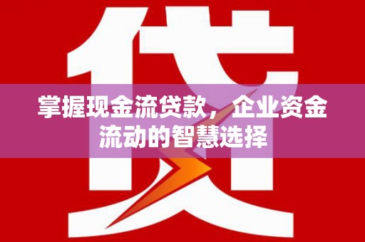 丽江掌握现金流贷款，企业资金流动的智慧选择
