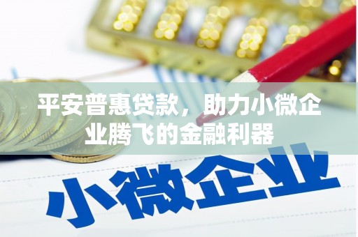 丽江平安普惠贷款，助力小微企业腾飞的金融利器