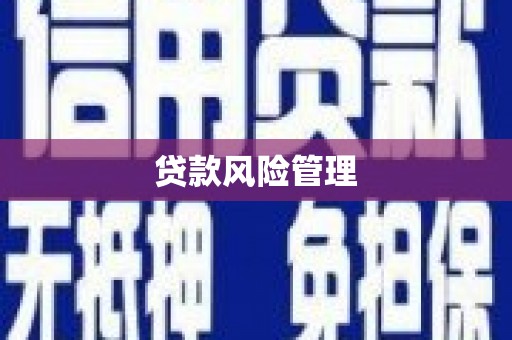 丽江贷款风险管理