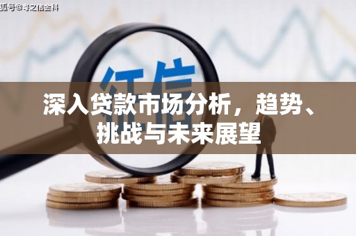 丽江深入贷款市场分析，趋势、挑战与未来展望