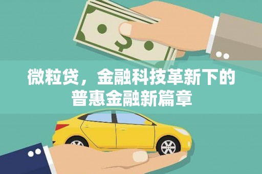 丽江微粒贷，金融科技革新下的普惠金融新篇章