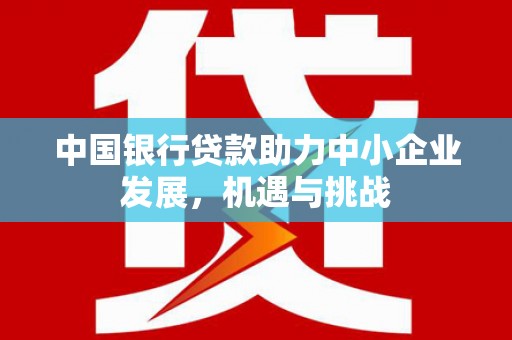 丽江中国银行贷款助力中小企业发展，机遇与挑战