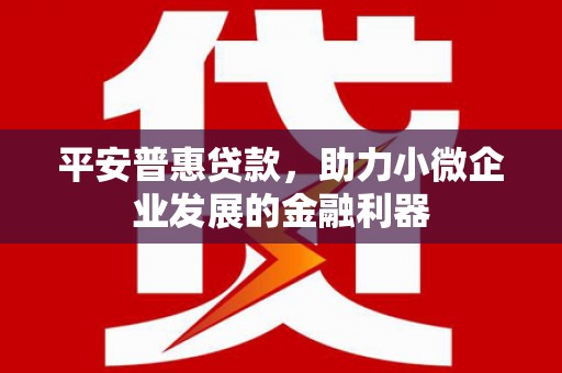 丽江平安普惠贷款，助力小微企业发展的金融利器