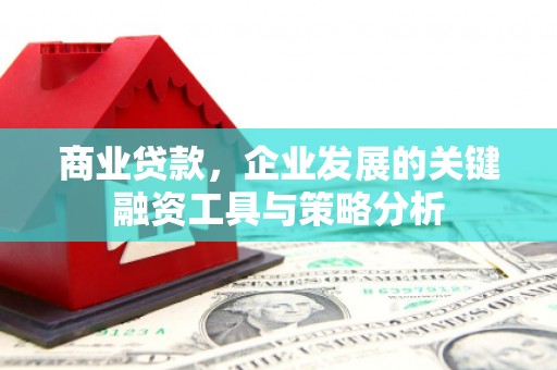 丽江商业贷款，企业发展的关键融资工具与策略分析