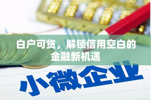丽江白户可贷，解锁信用空白的金融新机遇
