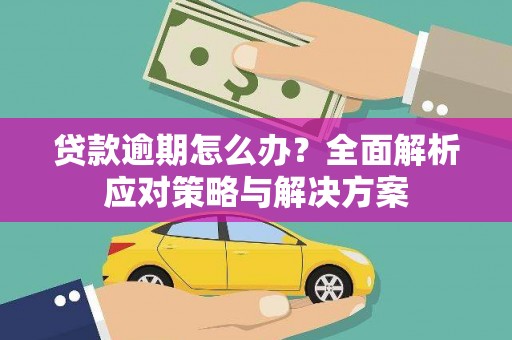 丽江贷款逾期怎么办？全面解析应对策略与解决方案