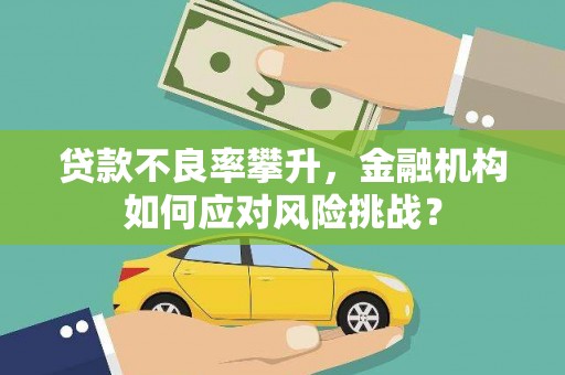 丽江贷款不良率攀升，金融机构如何应对风险挑战？