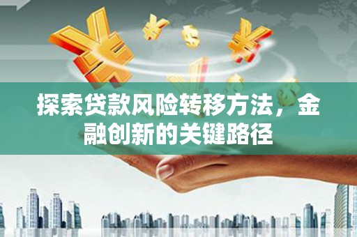 丽江探索贷款风险转移方法，金融创新的关键路径