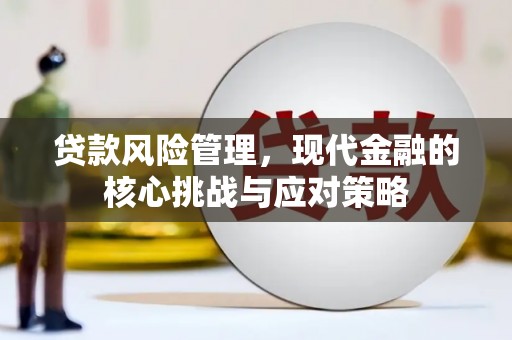 丽江贷款风险管理，现代金融的核心挑战与应对策略