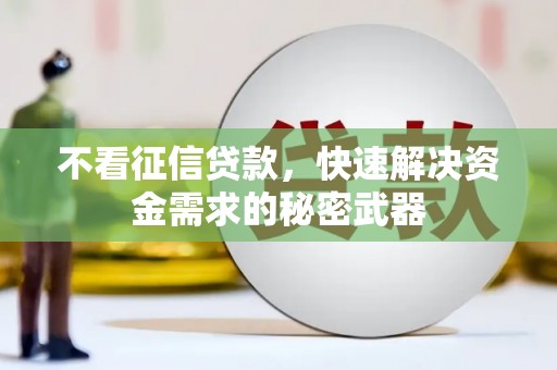 丽江不看征信贷款，快速解决资金需求的秘密武器