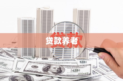 丽江贷款养老