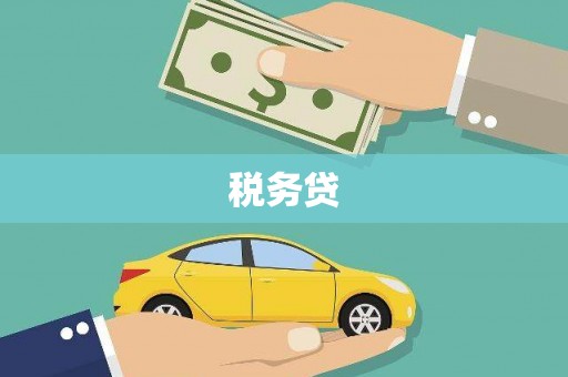 丽江税务贷