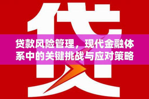 丽江贷款风险管理，现代金融体系中的关键挑战与应对策略