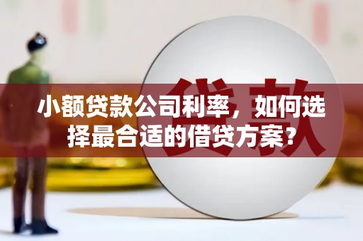 丽江小额贷款公司利率，如何选择最合适的借贷方案？