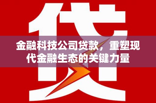 丽江金融科技公司贷款，重塑现代金融生态的关键力量