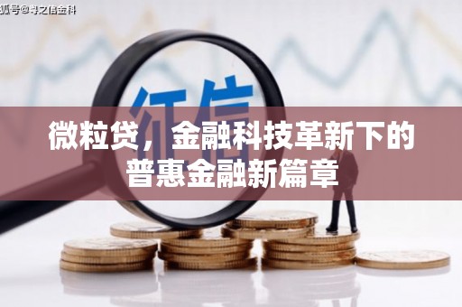 丽江微粒贷，金融科技革新下的普惠金融新篇章