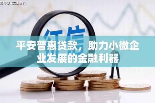 丽江平安普惠贷款，助力小微企业发展的金融利器