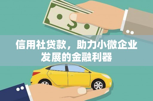 丽江信用社贷款，助力小微企业发展的金融利器