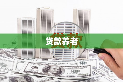 丽江贷款养老