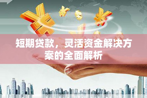 丽江短期贷款，灵活资金解决方案的全面解析