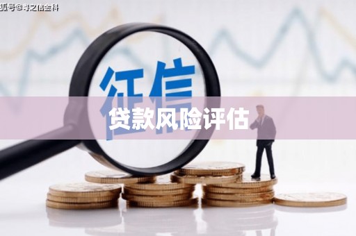 丽江贷款风险评估