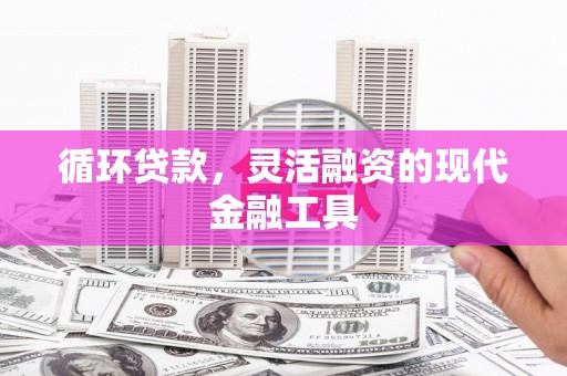 丽江循环贷款，灵活融资的现代金融工具