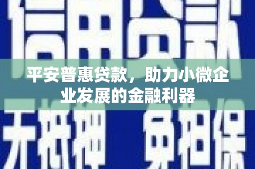 丽江平安普惠贷款，助力小微企业发展的金融利器