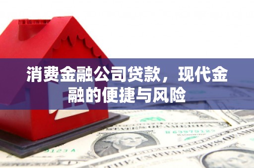 丽江消费金融公司贷款，现代金融的便捷与风险