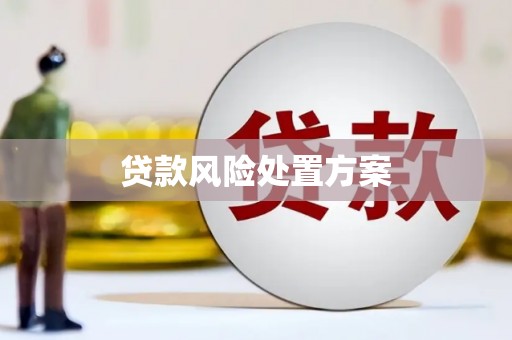 丽江贷款风险处置方案