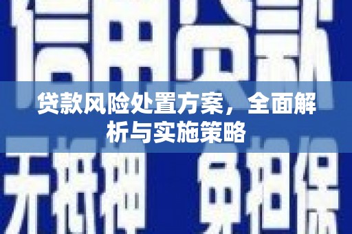 丽江贷款风险处置方案，全面解析与实施策略