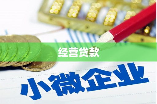丽江经营贷款
