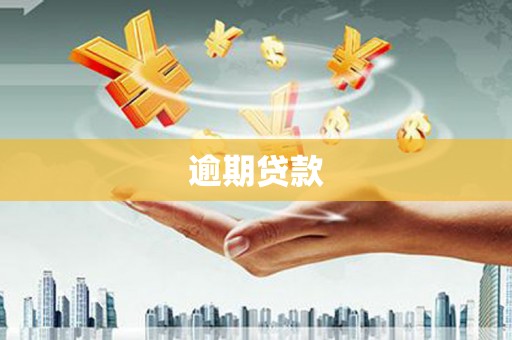 丽江逾期贷款